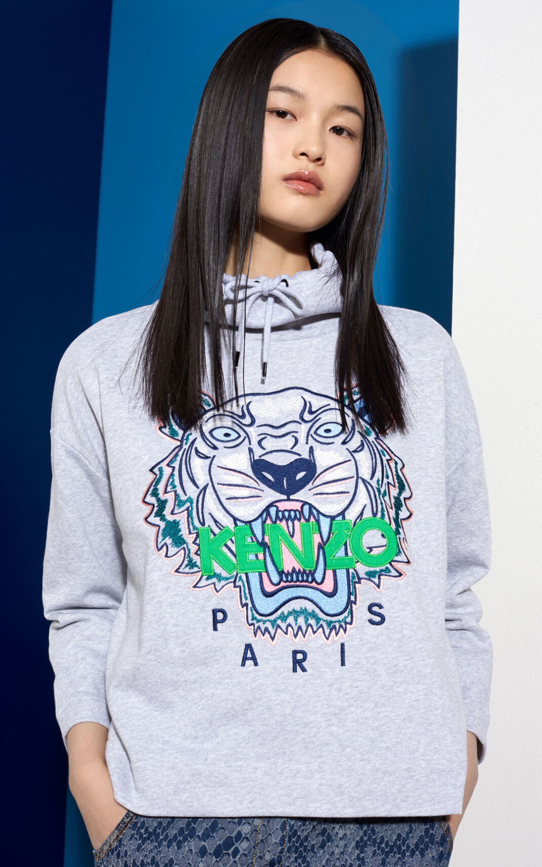 Kenzo Funnel Neck 虎 スウェット レディース グレー - QGFWBD104